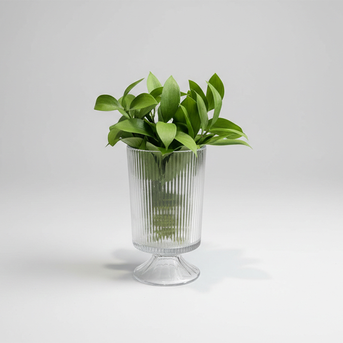 Florero RAY CRISTAL 4 1/2'' X 7''